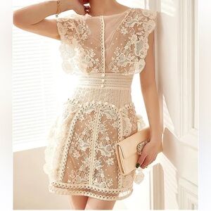 New Creme Sheer Appliqué With Beige Lining Elegant Lace Overlay Mini Dress